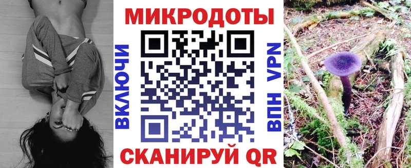 Галлюциногенные грибы GOLDEN TEACHER  Малгобек 